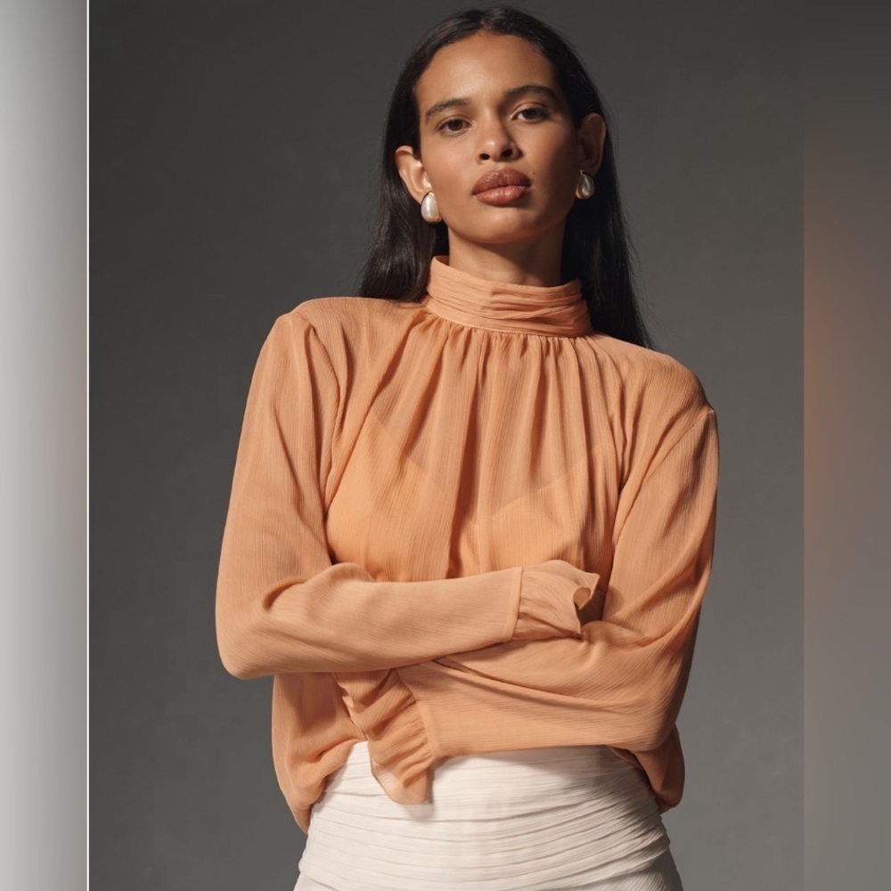 NWT! By Anthropologie Long-Sleeve High-Neck Sheer Blouse - Size XL ☀️